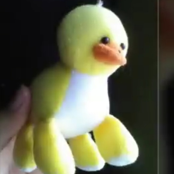 Meet your Posher, Jesse - Picture 1 of 1